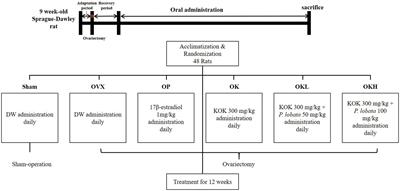 Ameliorative effects of Kyung-Ok-Ko and its mixture with Pueraria lobata Ohwi on postmenopausal osteoporosis by promoting phytoestrogenic activity in rats